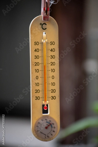 Obraz 庭の温度計