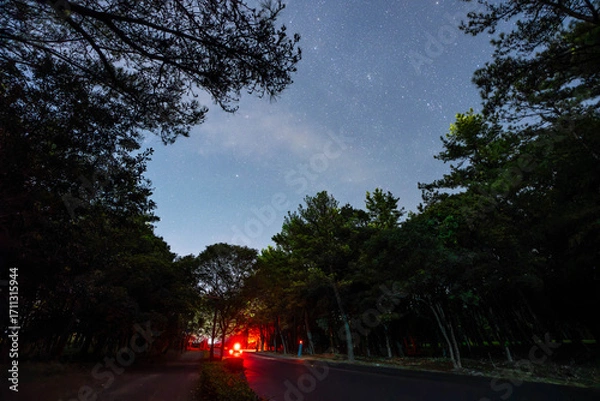 Obraz 夜の阿波岐原パークウェイ