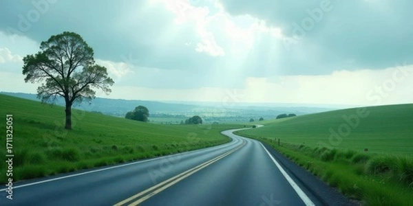 Fototapeta Serene Journey A Winding Road Through Lush Green Fields Under a Partly Cloudy Sky with a Solitary Tree
