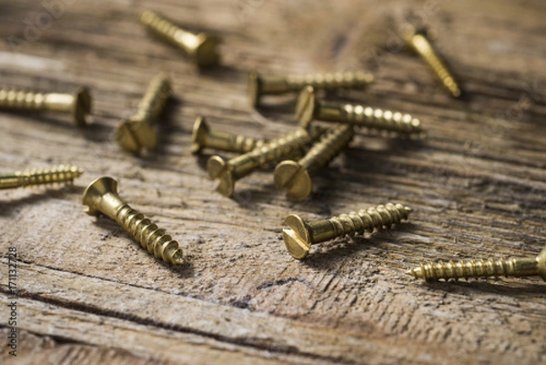 Obraz 真鍮ネジ