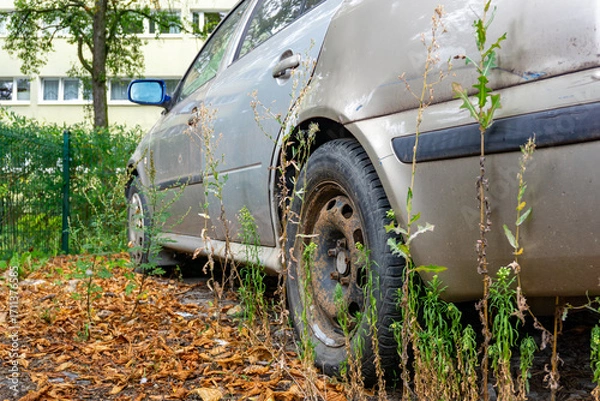 Fototapeta Old abandoned car with rusty bodywork, standing among weeds and dry leaves near a fence.
