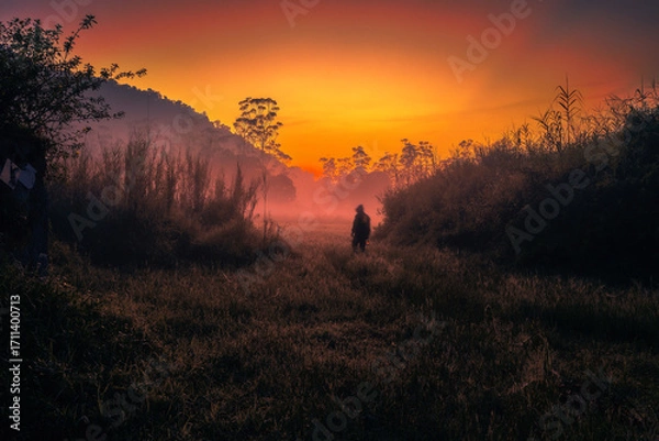Fototapeta Morning vibes at Ranca Upas Ciwidey Bandung West Java Indonesia