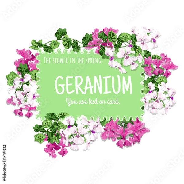 Obraz Geranium card design.