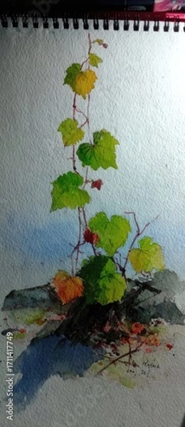 Fototapeta Watercolor painting of a vine with leaves and branches on rocks