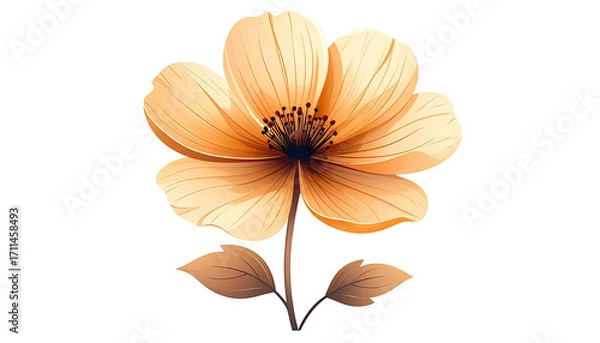 Obraz A single, light orange flower