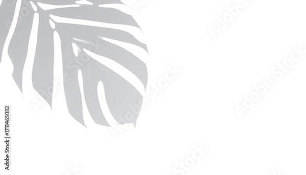 Obraz Silhouette of a leaf, light gray on black