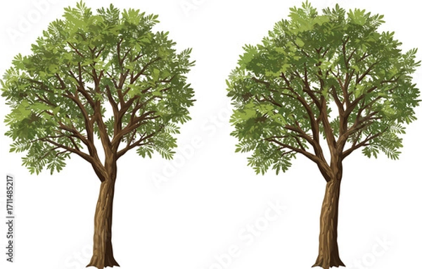 Fototapeta Realistic green trees illustration, lush foliage, brown trunks, nature landscape design, botanical drawing, eco-friendly concept, isolated white background, environmental conservation art