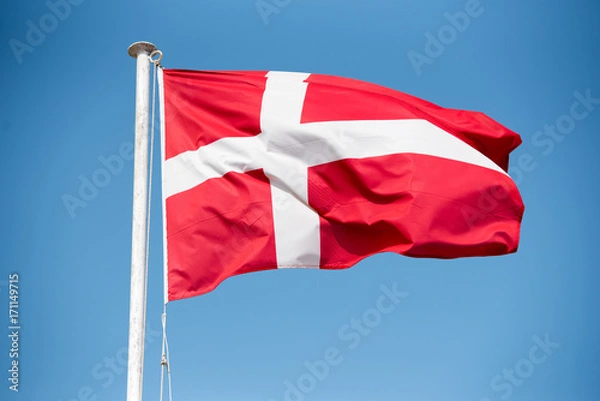 Obraz Denmark Flag