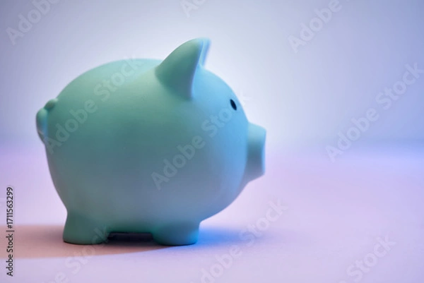 Fototapeta Close of of side view piggy bank