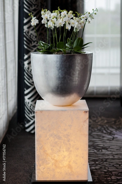 Obraz home and location decorating ideas