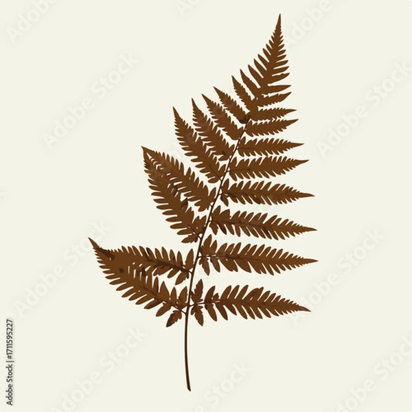 Fototapeta Brown fern frond isolated against a pale beige background, a simple graphic design element