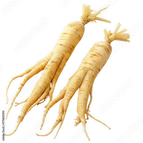 Fototapeta Two ginseng roots, showcasing their unique shape and earthy tones, isolated on transparent background, symbolizing vitality, longevity and traditional medicine