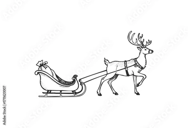 Fototapeta Reindeer pulling santa's sleigh with gifts in classic black and white sketch - stock vector