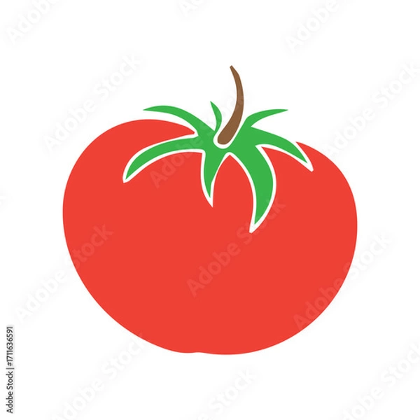 Fototapeta Tomato Illustration