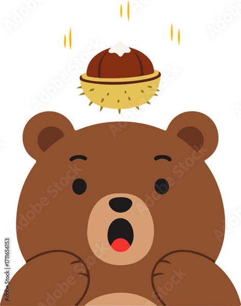 Fototapeta A sharp chestnut falling on the bear's head
