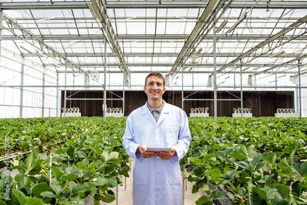 Fototapeta Smiling agronomist in a white lab coat using a tablet while standing among rows of leafy plants inside a bright greenhouse, illustrating modern smart farming and agricultural research.