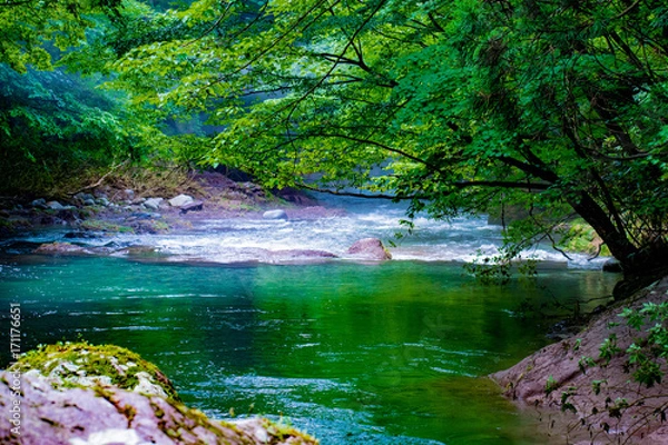 Obraz 岨谷峡　伏伸の滝