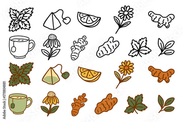 Fototapeta A hand-drawn doodle icon set of herbal tea and natural ingredients, including mint, ginger, lemon, and chamomile, presented in both black and white outline and color versions for wellness themes
