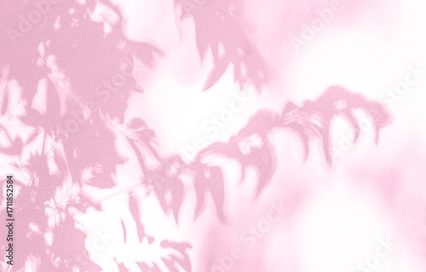 Fototapeta Leaf shadow and light on wall pink background. Nature tropical leaves shadows tree branch and plant shade with sunlight sunshine on wall for  wallpaper, shadow overlay effect foliage mockup