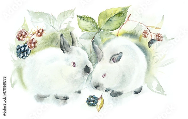 Fototapeta Two decorative rabbits and blackberry bush. Color point bunny. Watercolor hand drawn illustration