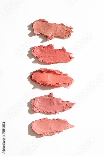 Obraz blush swatches 