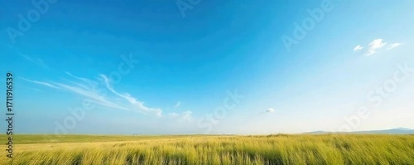 Fototapeta A serene landscape featuring a vast, clear blue sky overhead Perfect for themes of freedom, peace, and tranquility Ideal for travel, nature, and inspirational projects , aerial, pattern, high