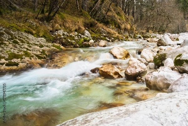 Obraz mountain river in the forest