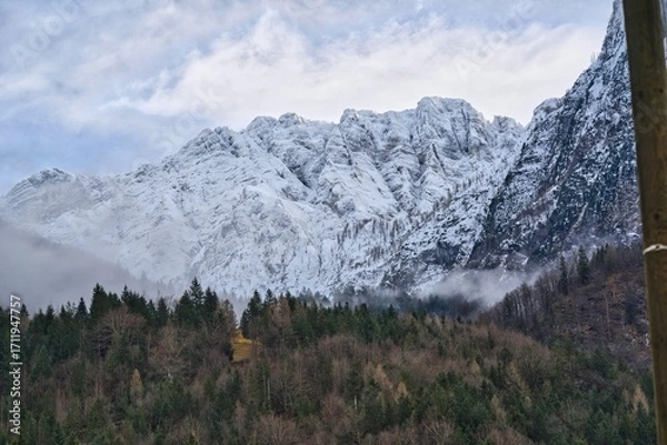 Obraz snow in the mountains