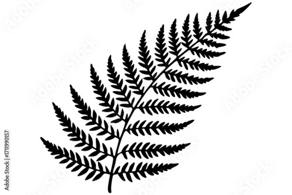 Obraz fern leaf isolated on white