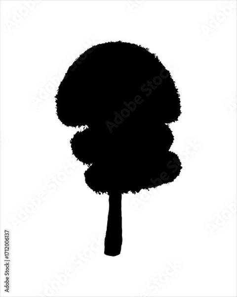 Fototapeta Silhouette of Round shaped tree isolated on white background