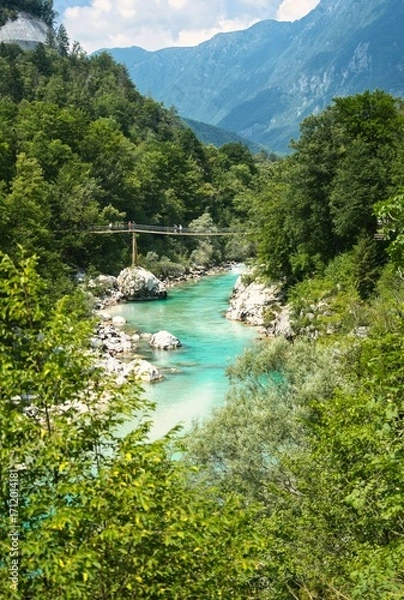 Obraz river in the mountains