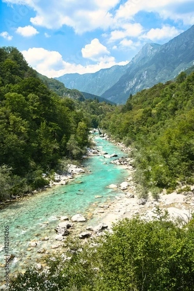 Obraz river in the mountains