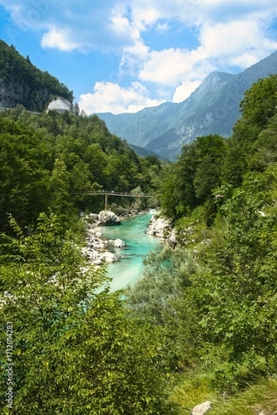 Obraz river in the mountains