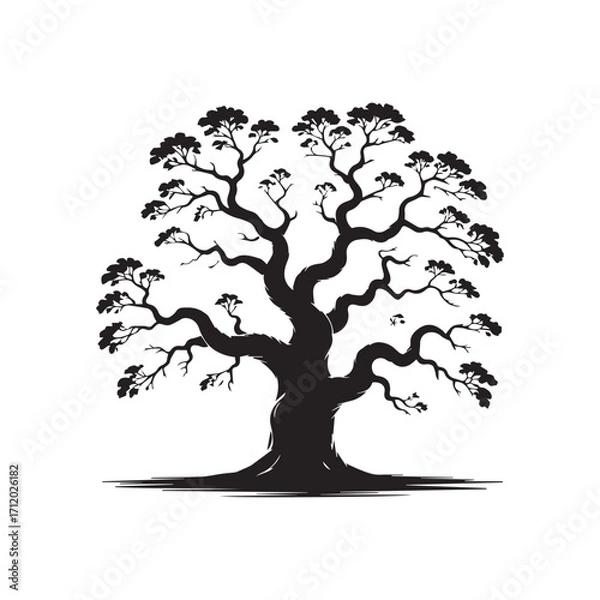 Fototapeta tree silhouette vector