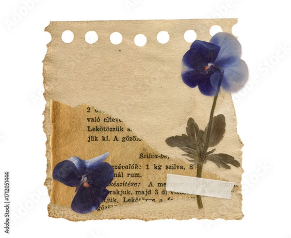 Fototapeta Scrapbook Vintage Paper Note with Dried Pansy Flower. Isolated Botanical Scrapbooking element for Collages