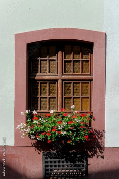 Fototapeta European design style of wooden window with window box planter of flowers