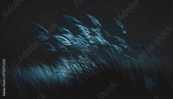 Obraz Wild pampas grass blades swaying in the wind at night with a mysterious dark blue light creating a moody atmosphere