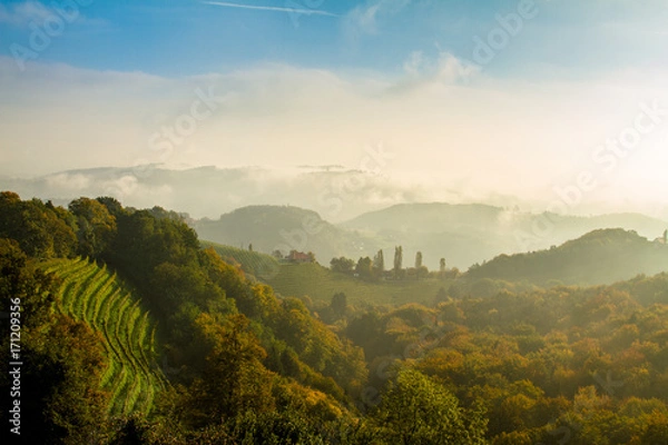 Obraz Weinberge in der Südsteiermark