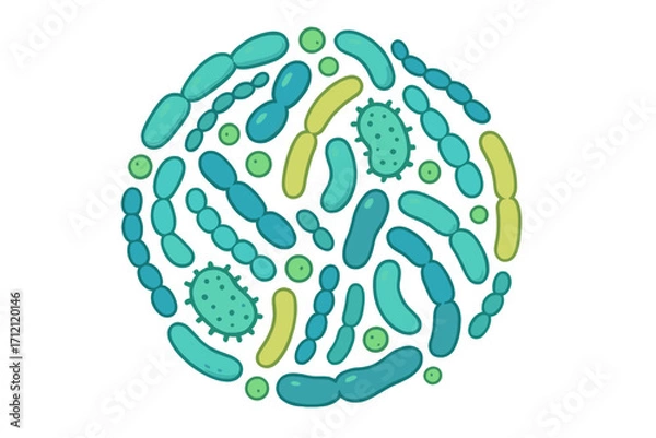 Fototapeta Probiotic bacteria circle composition vector illustration. Gut microbiota with healthy prebiotic bacillus. Lactobacillus, acidophilus, bifidobacteria. Digestion and gut health concept.