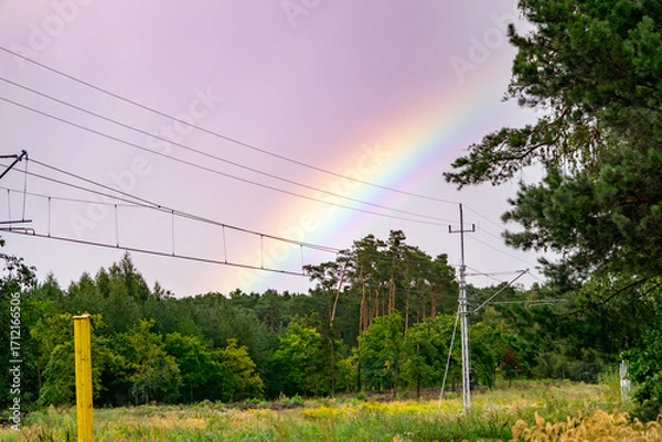 Fototapeta Rainbow after rain above railway tracks, surrounded by green forest, with visible traction poles and overhead electric wires.