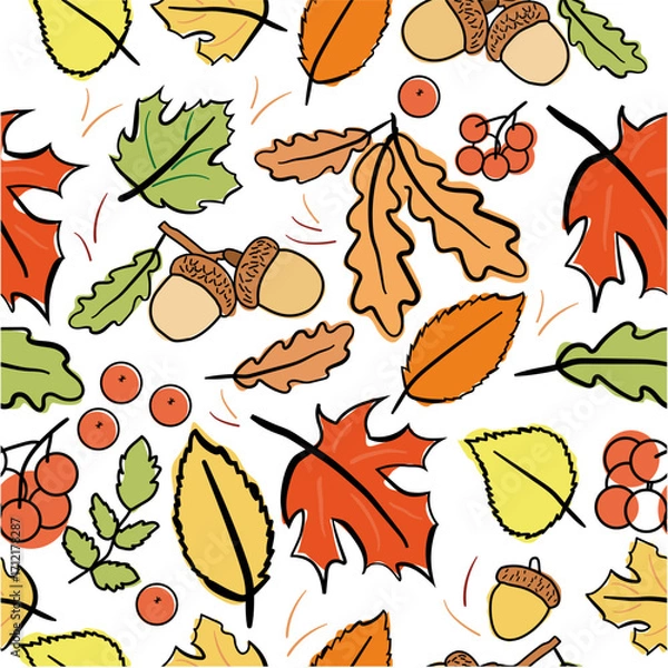 Fototapeta Autumn leaves of maple, oak, and mountain ash. Bright autumn leaves pattern