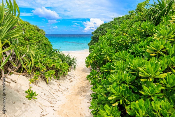 Obraz エメラルドグリーンに輝く宮古島・砂山ビーチ