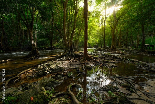 Fototapeta A forest with a stream running through it 𝙆𝙝𝙡𝙤𝙣𝙜 𝙇𝙖𝙣 waterfall , 𝙆𝙖𝙢𝙥𝙝𝙖𝙚𝙣𝙜 𝙋𝙝𝙚𝙩