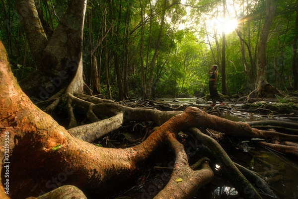 Fototapeta A person is walking through a forest with a tree trunk in the foreground 𝙆𝙝𝙡𝙤𝙣𝙜 𝙇𝙖𝙣 waterfall , 𝙆𝙖𝙢𝙥𝙝𝙖𝙚𝙣𝙜 𝙋𝙝𝙚𝙩