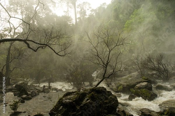 Fototapeta A tree is in the middle of a river with mist in the background 𝙆𝙝𝙡𝙤𝙣𝙜 𝙇𝙖𝙣 waterfall , 𝙆𝙖𝙢𝙥𝙝𝙖𝙚𝙣𝙜 𝙋𝙝𝙚𝙩