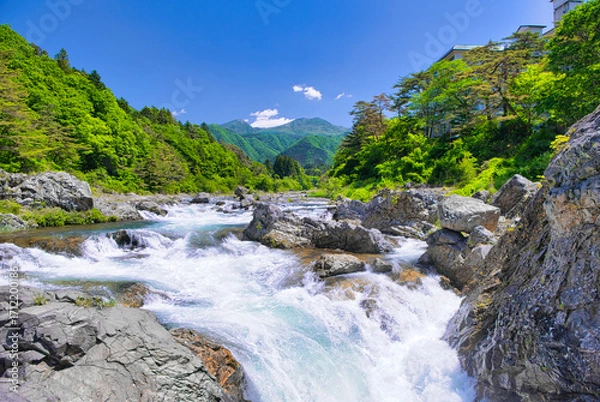 Fototapeta 栃木県日光市　鬼怒川温泉に流れる鬼怒川
