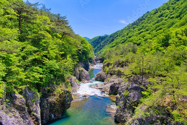 Fototapeta 栃木県日光市　龍王峡を流れる鬼怒川