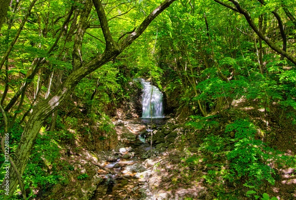 Fototapeta 栃木県日光市　龍王峡の鬼怒川へ流れる竪琴の滝