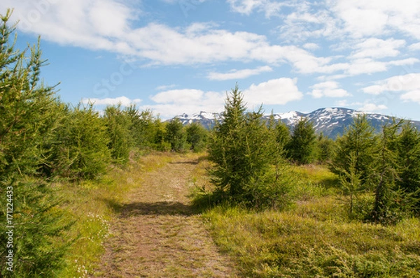 Fototapeta hiking route on island of Hrisey in Iceland