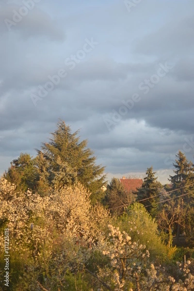 Obraz Suburban landscape